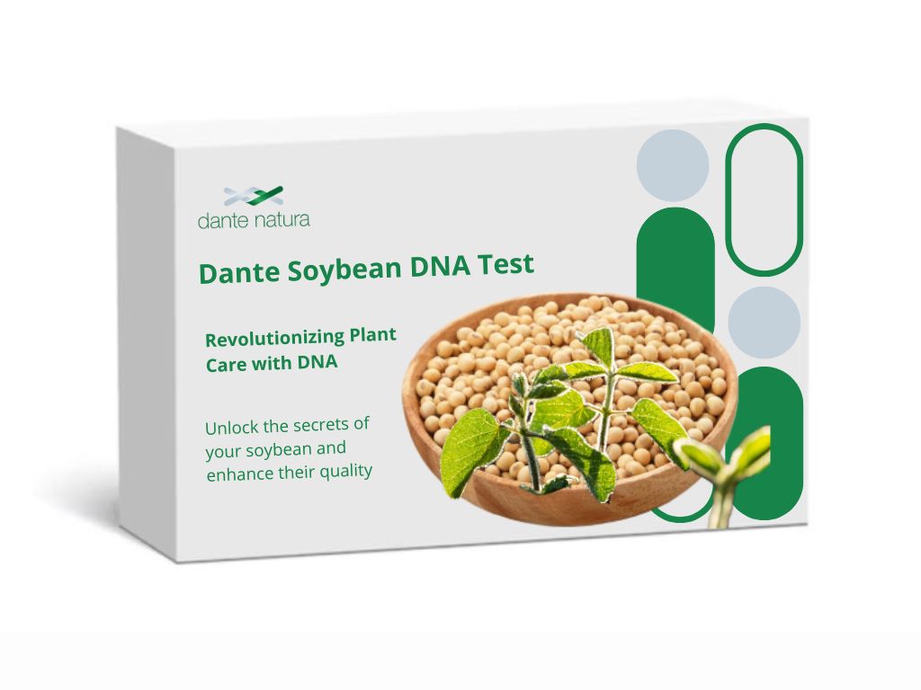 Dante Soybean DNA Test