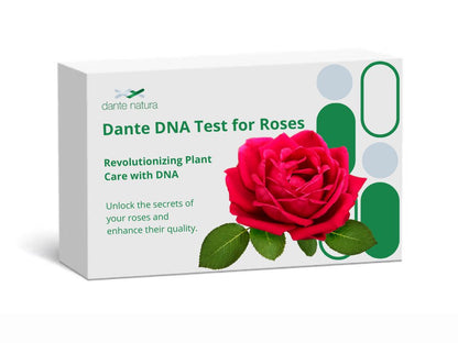 Dante DNA Test for Roses